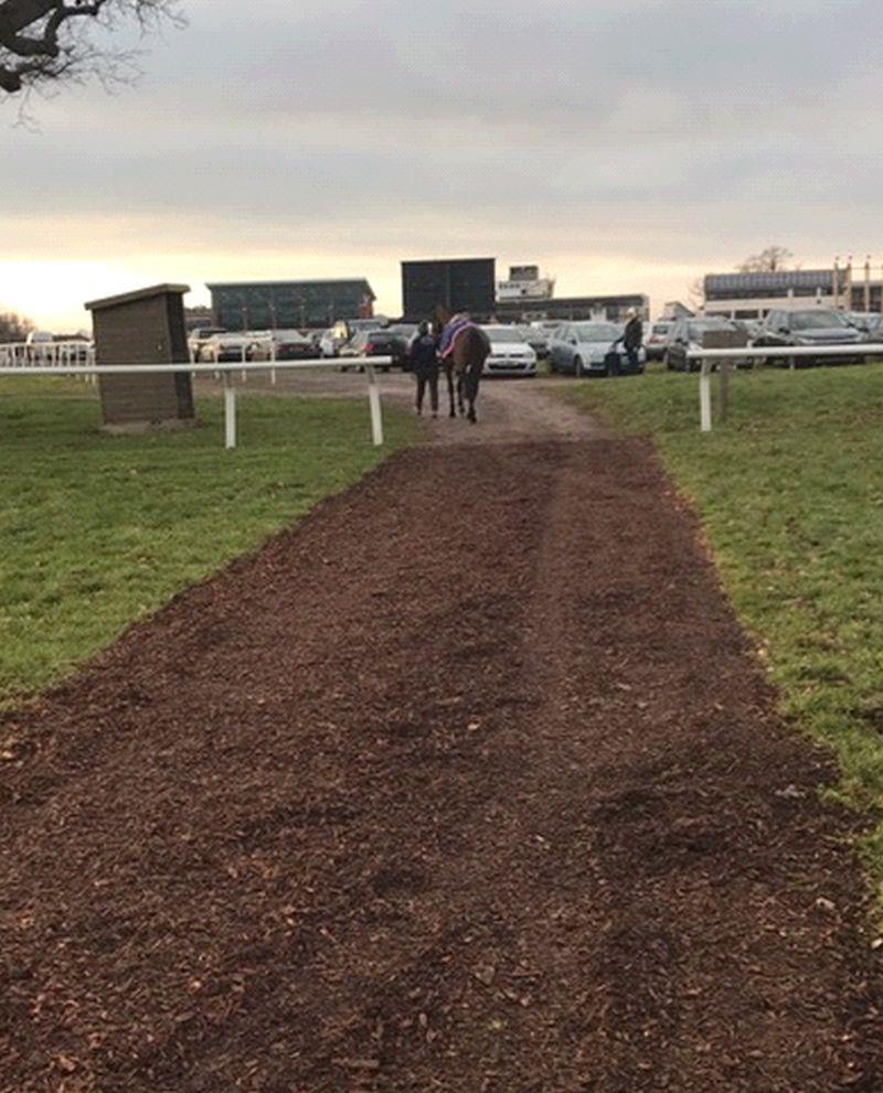 The long walk from the stable to the paddock