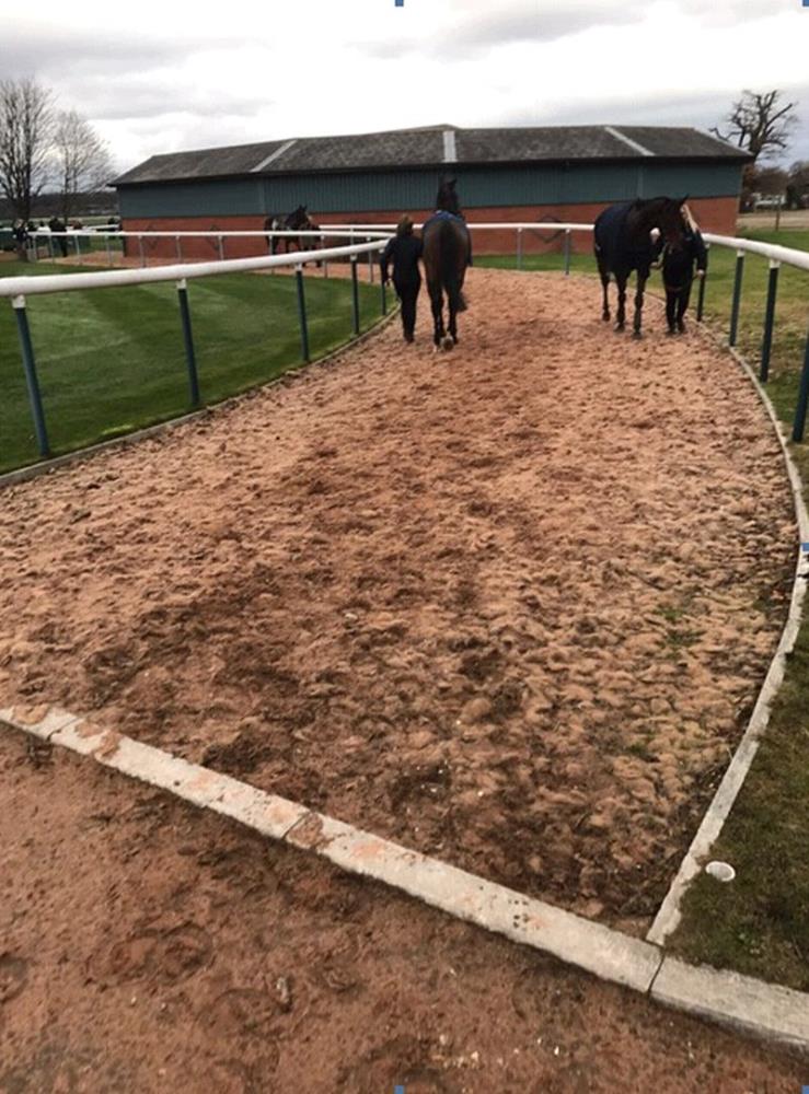 Leigh Pollard's view of the walk way to the racecourse from Bangors stable yard.