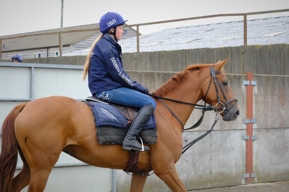 Baileys Blog » Home
