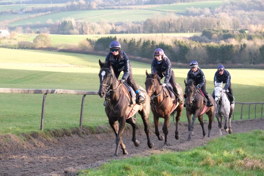 Baileys Blog » Home