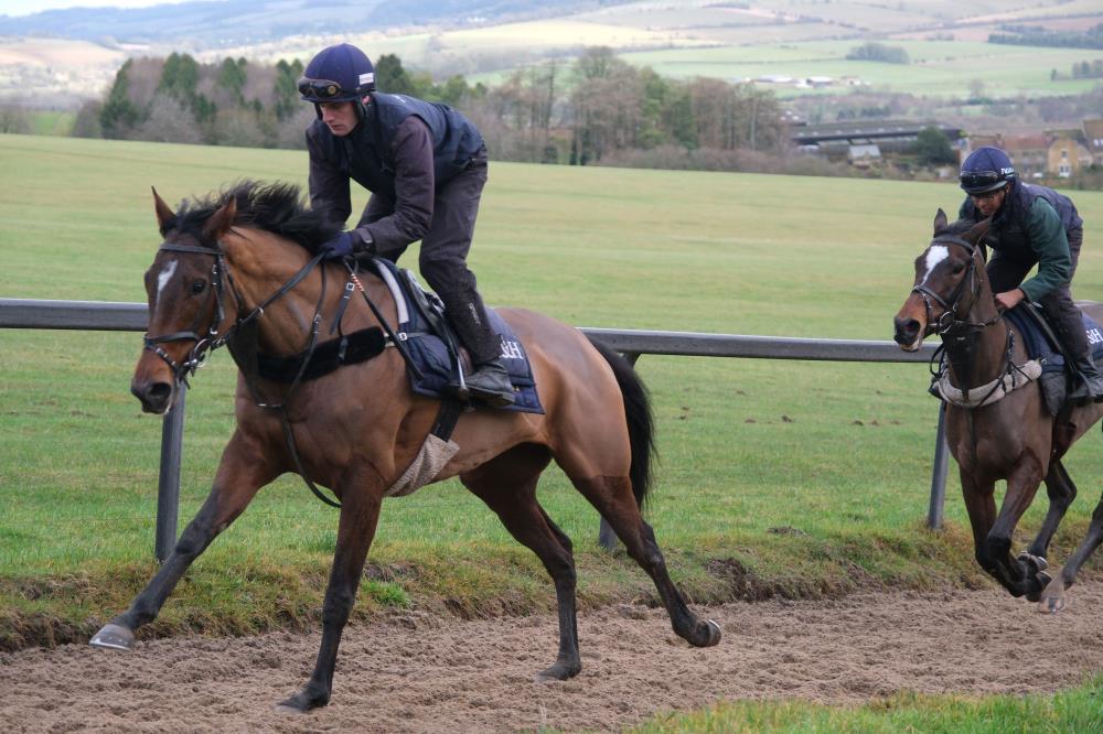 Baileys Blog » Home