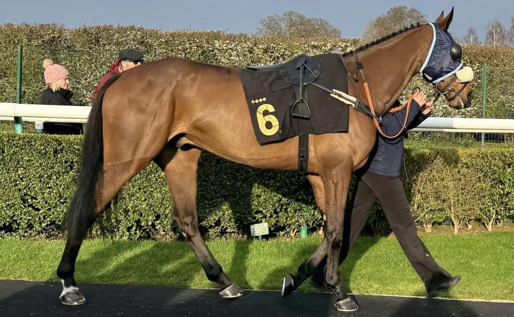Baileys Blog » Home
