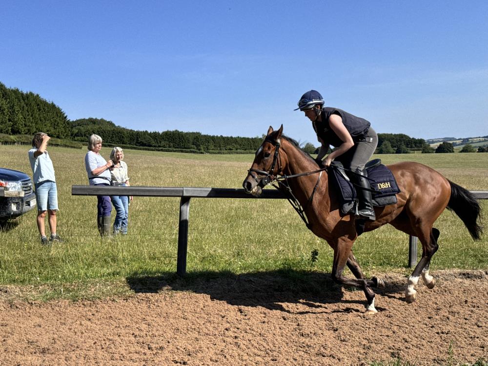 Baileys Blog » Home