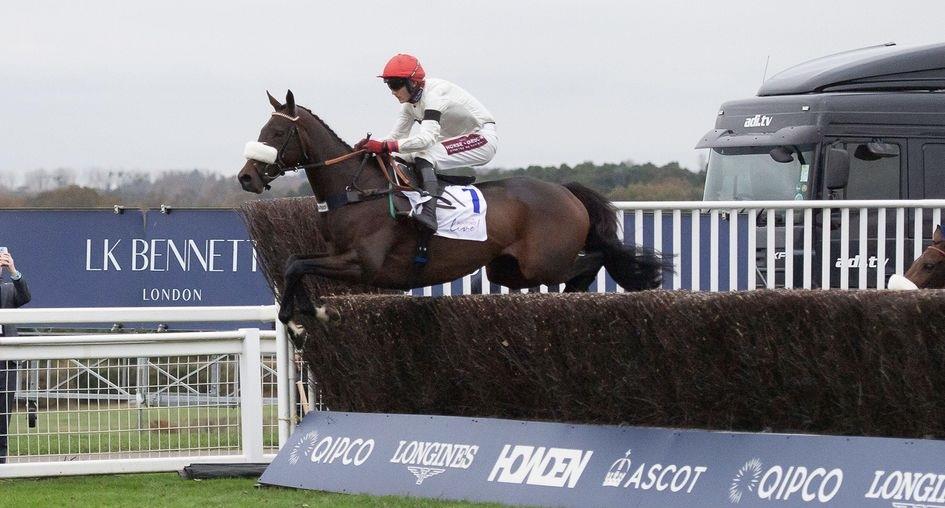 Baileys Blog » Home