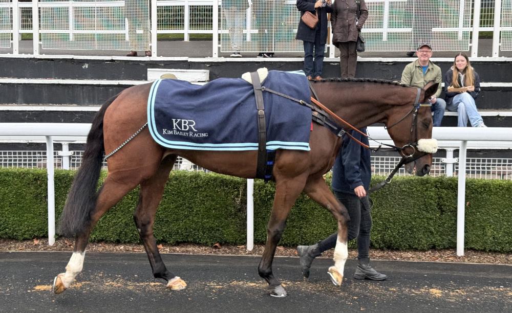 Baileys Blog » Home