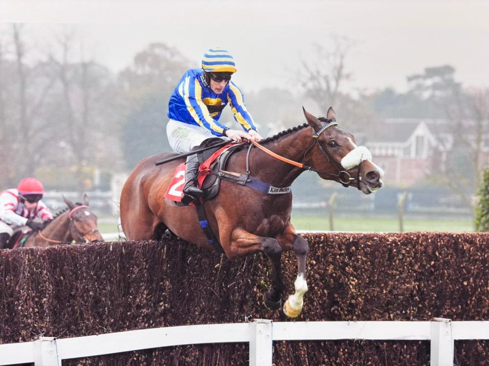 Baileys Blog » Home