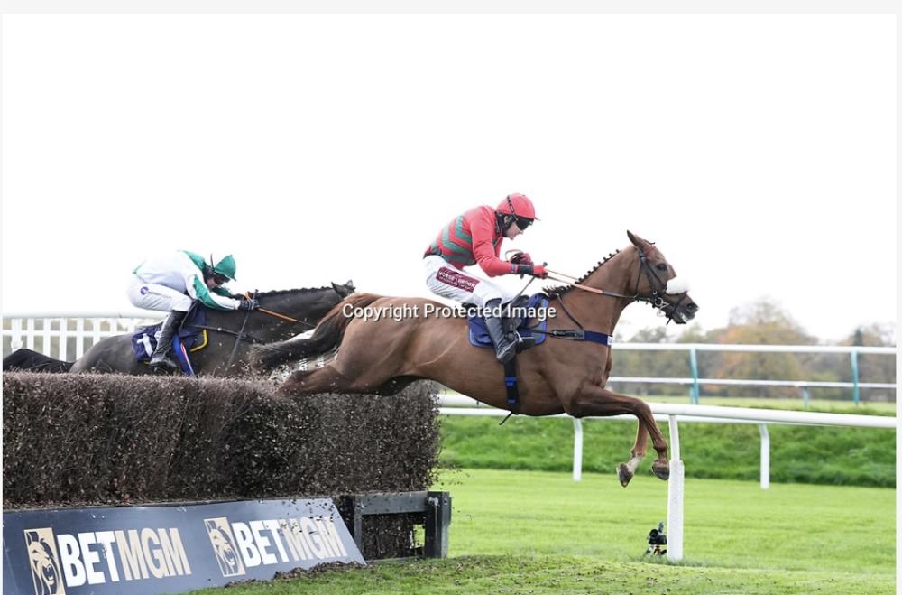 Baileys Blog » Home
