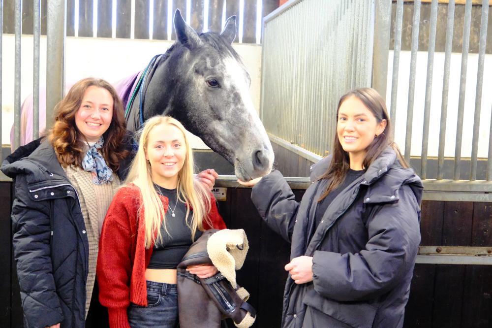 Baileys Blog » Home