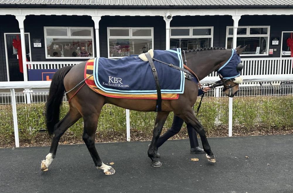 Baileys Blog » Home